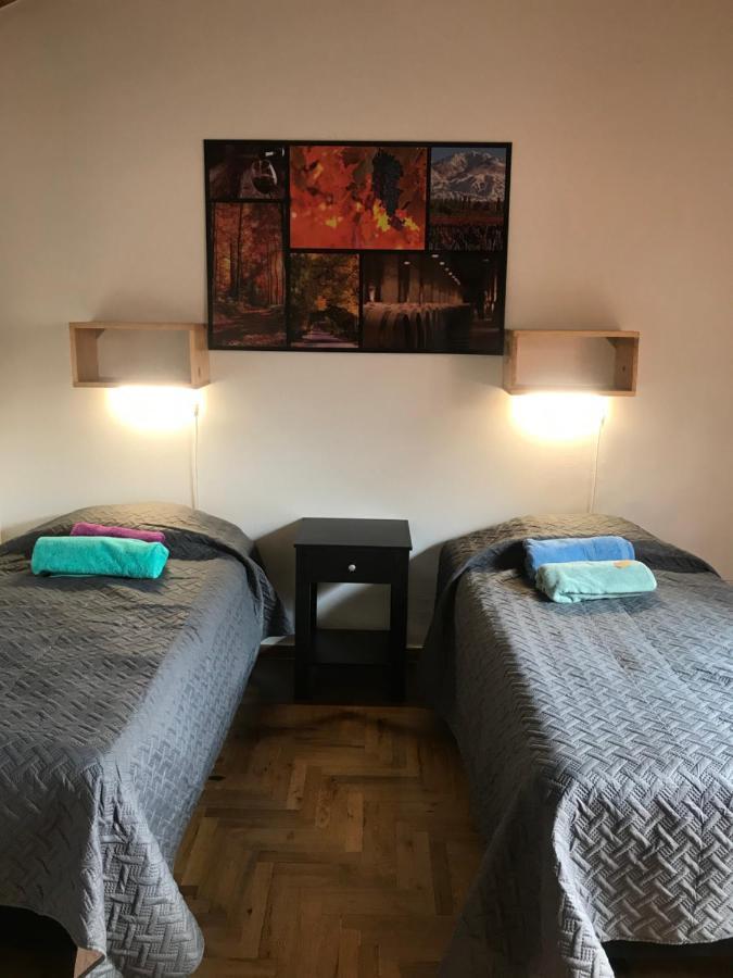 Mza Wine Apartment -Next To Aristides Street- First Class Mendoza Ngoại thất bức ảnh